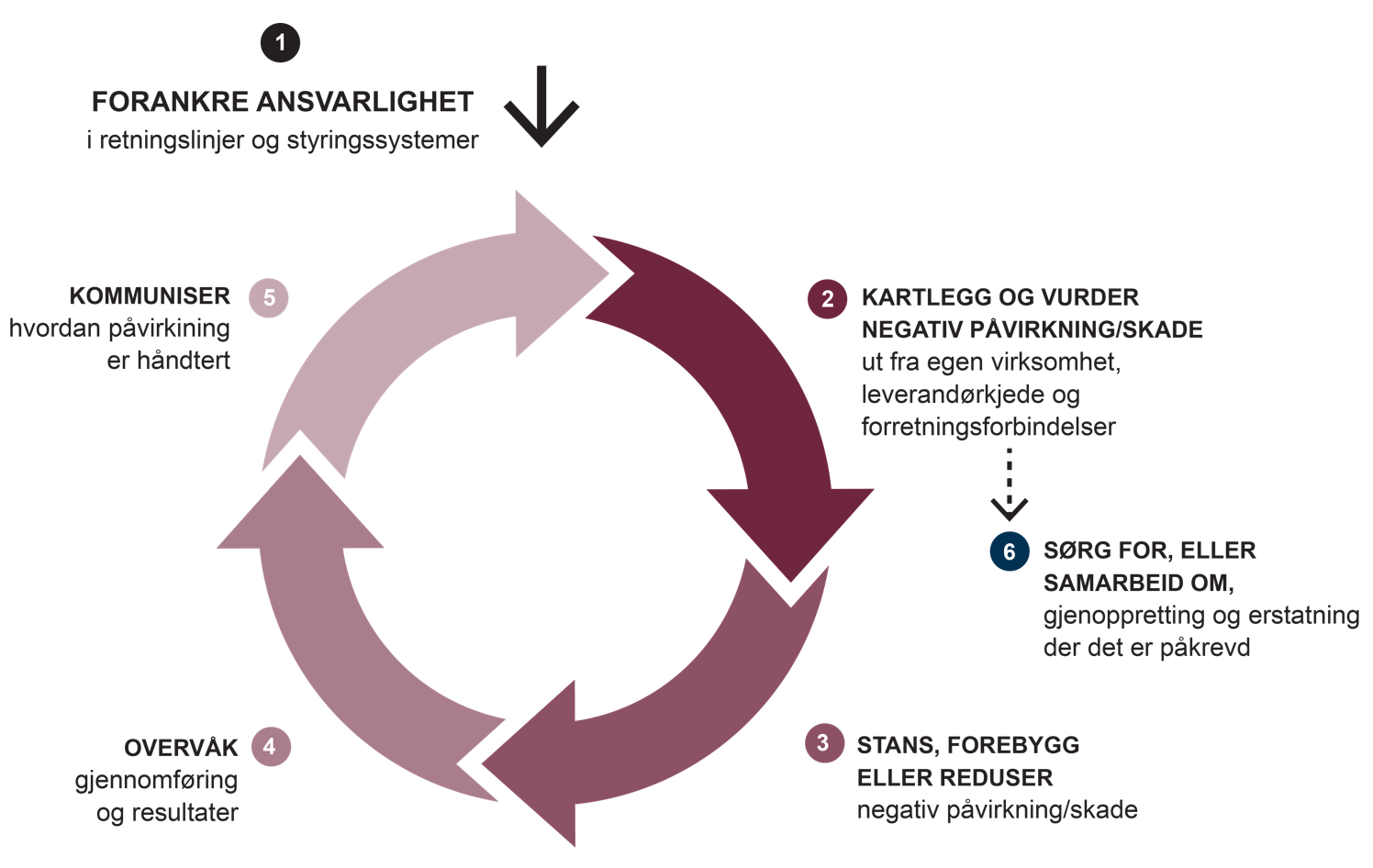 Modell som viser OECDs modell for aktsomhetsvurderinger for ansvarlig næringsliv.